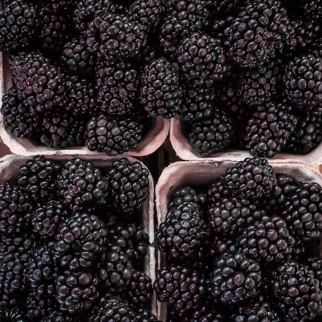 representative image for 'Blackberry Picking' category