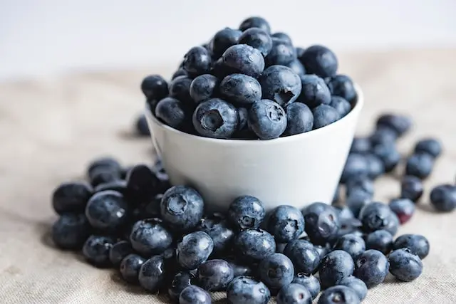 representative image for 'Blueberry Picking' category