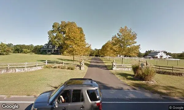 Street Views of Alpaca at Edel Haus Alpaca Farm Wall Township, New Jersey - 1
