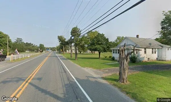 Street Views of Alpaca Farm at Jersey Shore Alpacas Cape May, New jersey - 1