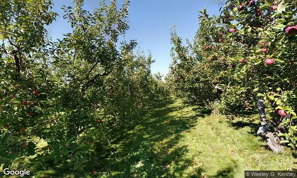 Street Views of Apple Picking at Chapin Orchard Essex Junction, Vermont - 1