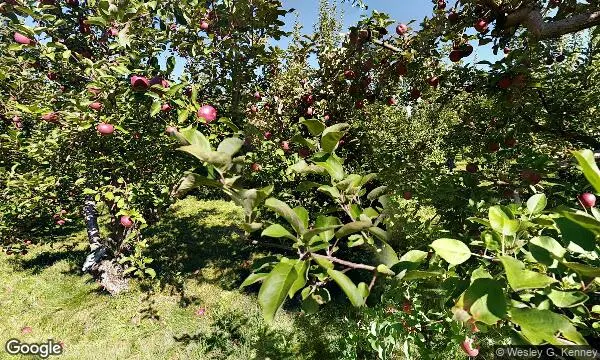 Street Views of Apple Picking at Chapin Orchard Essex Junction, Vermont - 2