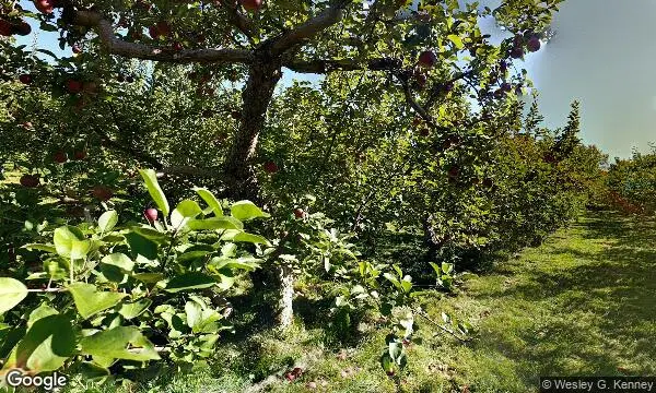 Street Views of Apple Picking at Chapin Orchard Essex Junction, Vermont - 3
