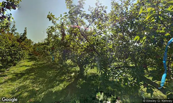 Street Views of Apple Picking at Chapin Orchard Essex Junction, Vermont - 4