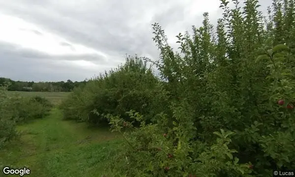 Street Views of Apple Picking at Happy Valley Orchard Middlebury, Vermont - 1