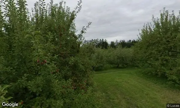 Street Views of Apple Picking at Happy Valley Orchard Middlebury, Vermont - 2