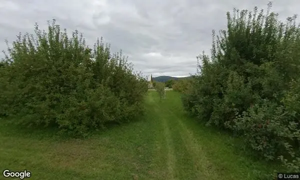 Street Views of Apple Picking at Happy Valley Orchard Middlebury, Vermont - 3