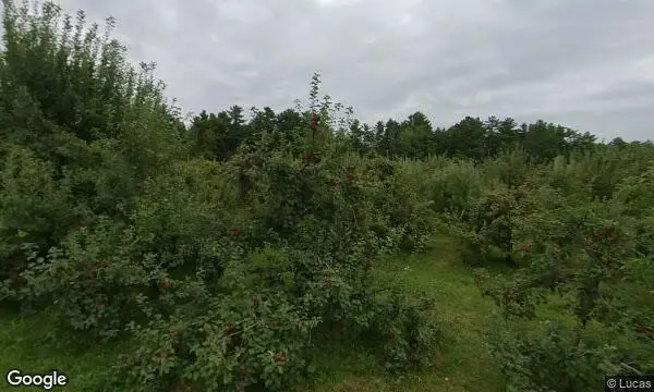 Street Views of Apple Picking at Happy Valley Orchard Middlebury, Vermont - 4