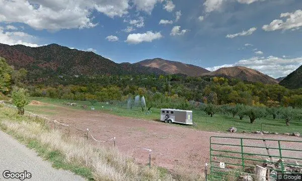 Street Views of Apple Picking at Orchard Creek Ranch Glenwood Springs, Colorado - 2