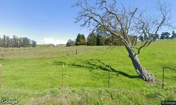 Street Views of  Boring Farm Sebastopol, California - 2