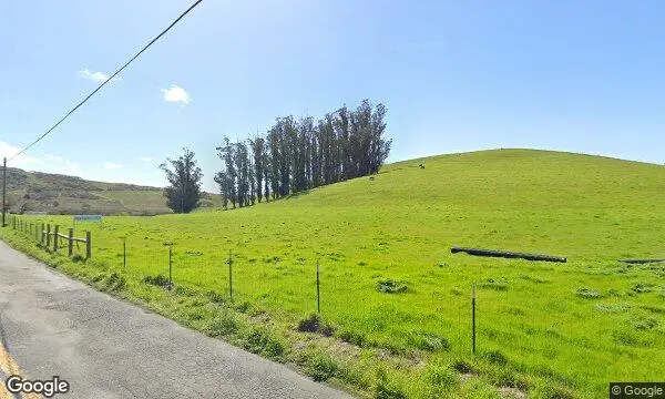 Street Views of  Boring Farm Sebastopol, California - 4