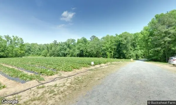 Street Views of Buckwheat Farm Apex, North Carolina - 2