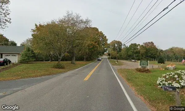 Street Views of Christmas Tree  at Darts Christmas Tree Farm Southold, New york - 1