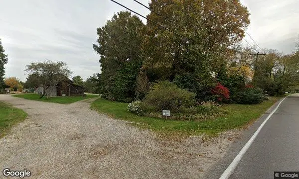 Street Views of Christmas Tree  at Darts Christmas Tree Farm Southold, New york - 3