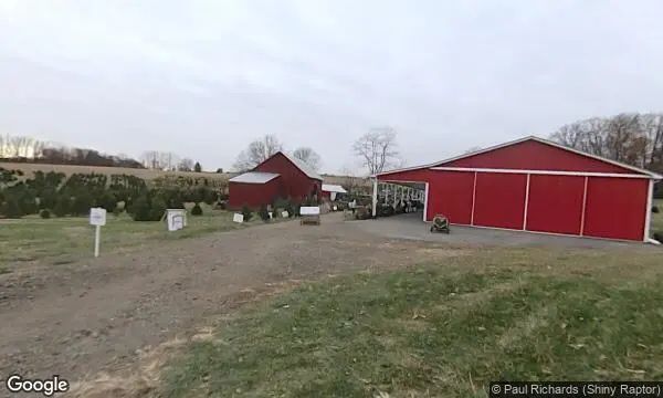 Street Views of Christmas Tree  at Davidson Christmas Tree Farm Upperco, Maryland - 2