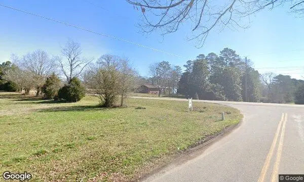 Street Views of Christmas Tree  at Yuletide Christmas Tree Farm Covington, Georgia - 2