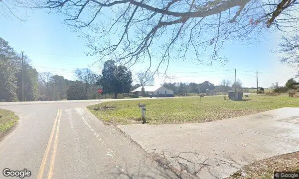 Street Views of Christmas Tree  at Yuletide Christmas Tree Farm Covington, Georgia - 3
