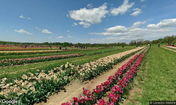 Street Views of Flower  at Holland Ridge Farms Cream Ridge, New jersey - 3