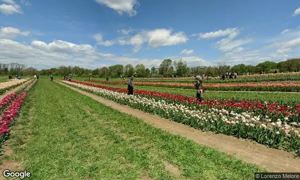 Street Views of Flower  at Holland Ridge Farms Cream Ridge, New jersey - 4