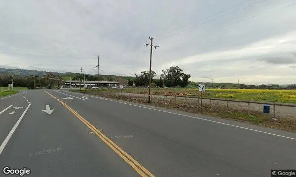 Street Views of Flower  at The Happy Dahlia Farm Petaluma, California - 2