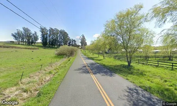 Street Views of Fruit Picking  at Duckworth Family Farm Sebastopol, California - 3