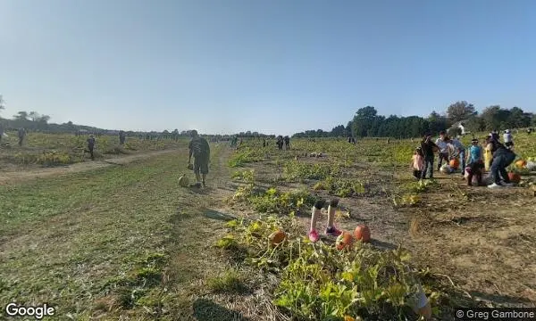 Street Views of Fruit Picking  at Johnson’s Corner Farm Medford, New jersey - 1