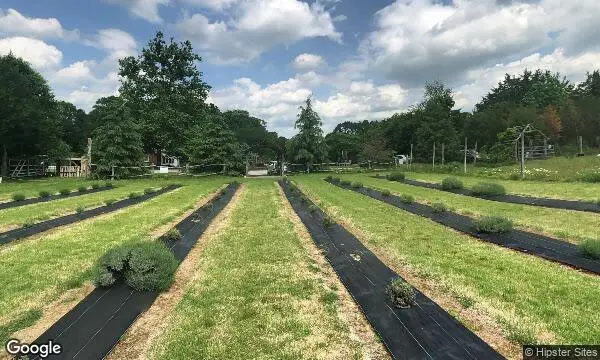 Street Views of Fruit Picking at Lavender Fields Herb Farm - Xmas Tree Farms near me Glen Allen, Virginia - 1