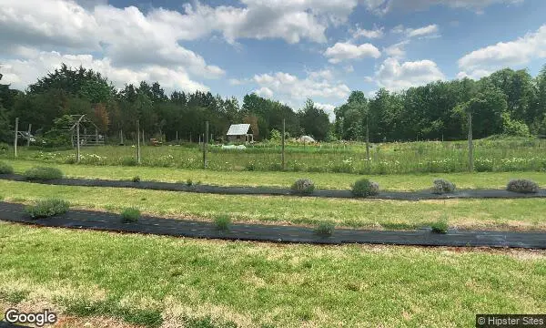 Street Views of Fruit Picking at Lavender Fields Herb Farm - Xmas Tree Farms near me Glen Allen, Virginia - 2