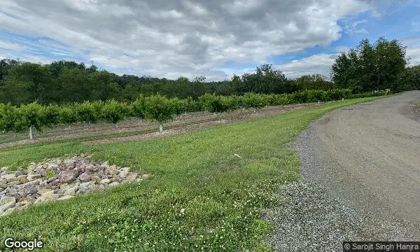 Street Views of Fruit Picking  at Phillips Farms Milford, New jersey - 1