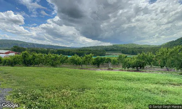 Street Views of Fruit Picking  at Phillips Farms Milford, New jersey - 4