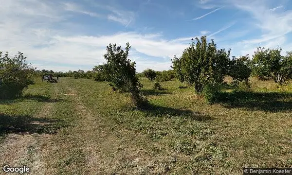 Street Views of Fruit Picking  at Wasem Fruit Farm Milan, Michigan - 1