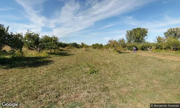 Street Views of Fruit Picking  at Wasem Fruit Farm Milan, Michigan - 2