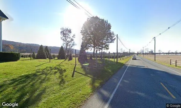 Street Views of Fruit Picking  at Wyckoff’s Christmas Tree Farm Belvidere, New jersey - 4