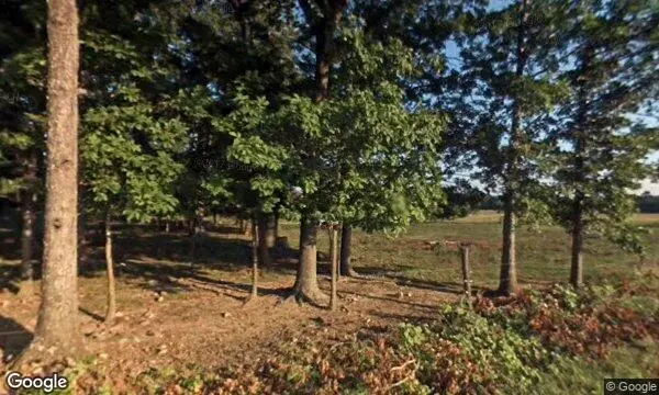 Street Views of Fruit Picking  at Yoder’s Farm Rustburg, Virginia - 3
