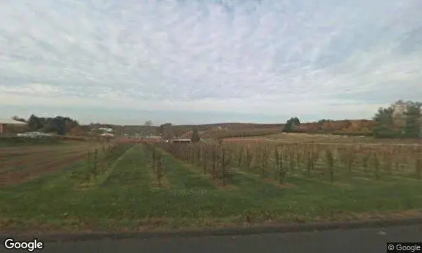 Street Views of Fruit Picking Farm at Belltown Hill Orchards - Pre-cut Christmas Trees in Connecticut South Glastonbury, Connecticut - 1