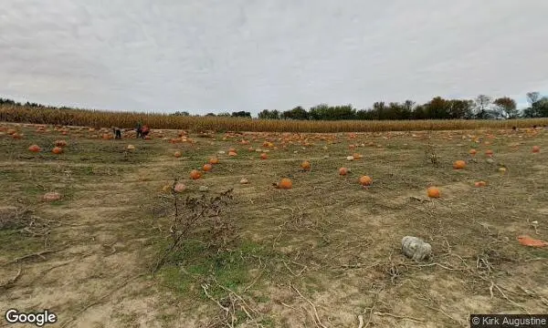 Street Views of Fruit Picking Farm at Braeutigam Orchards Belleville, Illinois - 1