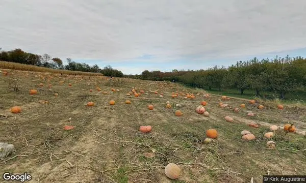 Street Views of Fruit Picking Farm at Braeutigam Orchards Belleville, Illinois - 2