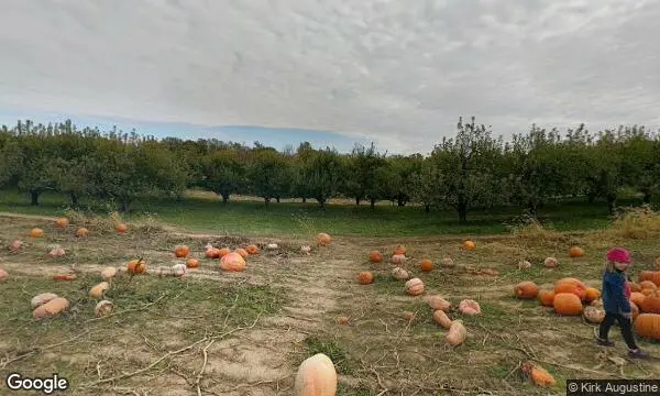 Street Views of Fruit Picking Farm at Braeutigam Orchards Belleville, Illinois - 3