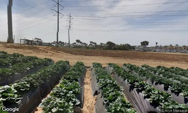 Street Views of Fruit Picking Farm at Carlsbad Strawberry Company Carlsbad, California - 3