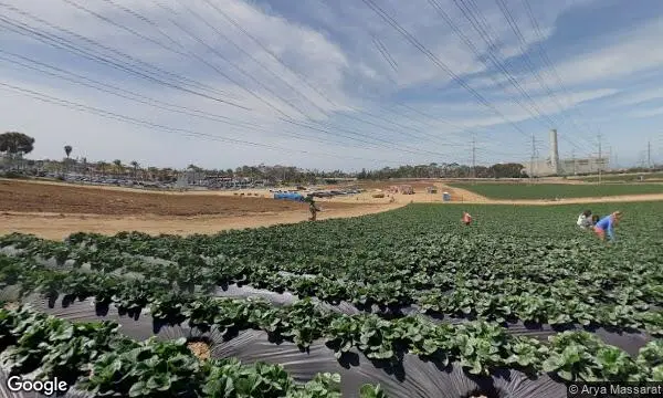 Street Views of Fruit Picking Farm at Carlsbad Strawberry Company Carlsbad, California - 4
