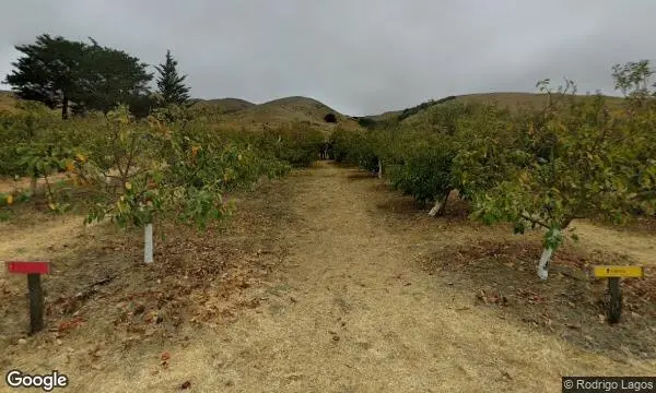 Street Views of Fruit Picking Farm at Chileno Valley Ranch Petaluma, California - 1