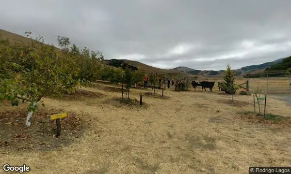 Street Views of Fruit Picking Farm at Chileno Valley Ranch Petaluma, California - 2
