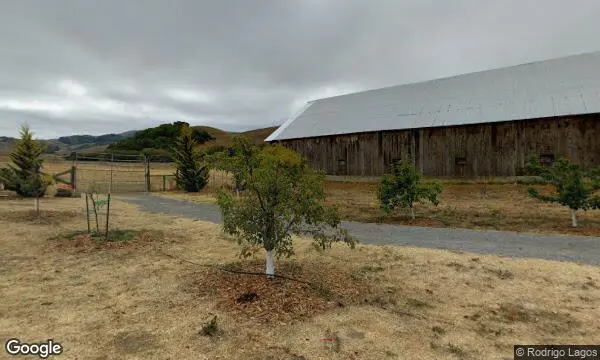 Street Views of Fruit Picking Farm at Chileno Valley Ranch Petaluma, California - 3