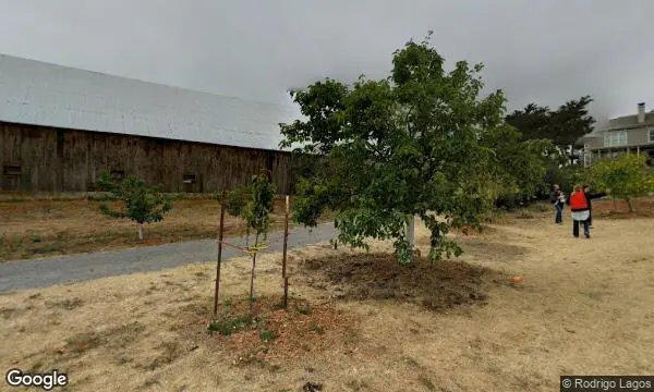 Street Views of Fruit Picking Farm at Chileno Valley Ranch Petaluma, California - 4