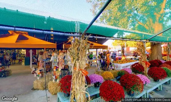 Street Views of Johansen Farms Children’s Zoo & Pumpkin Farm Bolingbrook, Illinois - 1