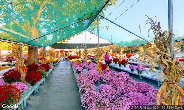 Street Views of Johansen Farms Children’s Zoo & Pumpkin Farm Bolingbrook, Illinois - 2