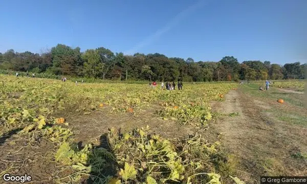 Street Views of  Johnson’s Corner Farm - Peach Picking NJ Medford, New jersey - 3