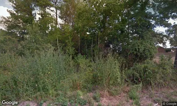 Street Views of  Jollisant Farms Plantersville, Texas - 1