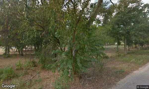 Street Views of  Jollisant Farms Plantersville, Texas - 4