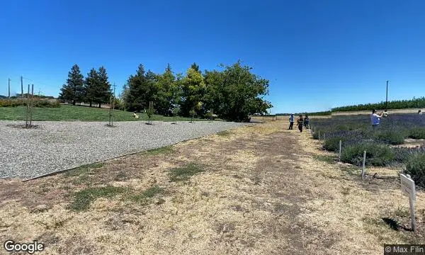 Street Views of Lavender  at Araceli Farms Dixon, California - 2